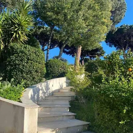 Liana * Saint-Tropez
